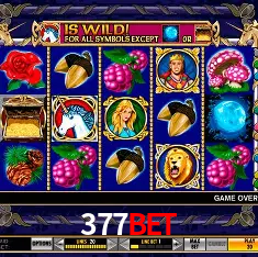 377bet